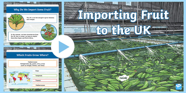 Fruit importers uk store