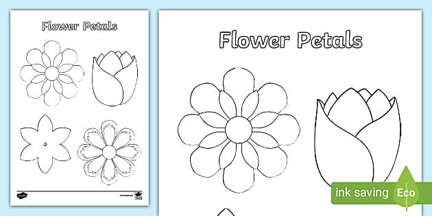 Cut-Out Flower Outline Template - Seasons - Spring - Twinkl