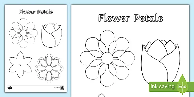 flower petals coloring pages