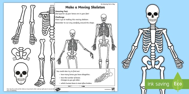 skeleton homework year 3