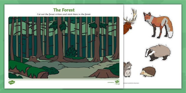 Forest Cut and Stick Activity (teacher made) - Twinkl