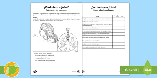 Ficha De Actividad Verdadero O Falso Los Pulmones