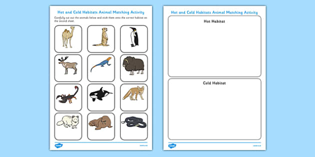 Hot and Cold Habitats Animal Sorting Worksheet