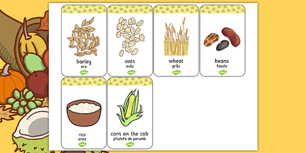 Harvest Grains Flash Cards Romanian Translation - Twinkl