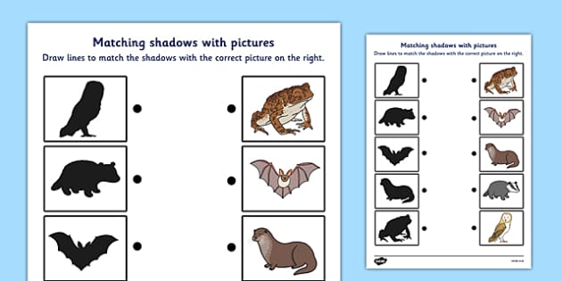 wild nocturnal animals shadow matching worksheet