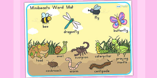 Word mat. Minibeasts. Minibeast.