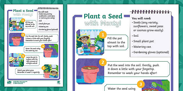 plant-a-seed-instructions-hecho-por-educadores-twinkl