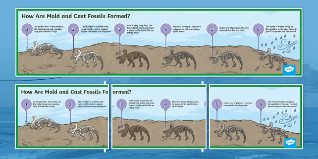 Top 52+ imagen how is a fossil formed