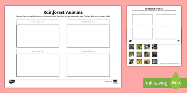 Printable Animals That Live in the Rainforest Sorting Sheet