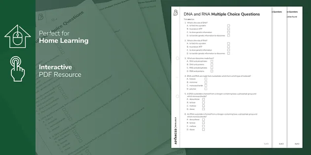 Dna And Rna In A Level Biology A Level Biology Beyond