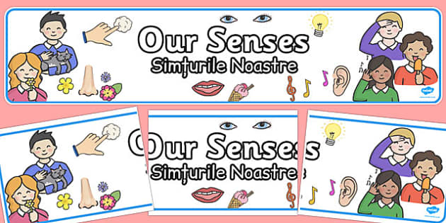 👉 Our Senses Display Banner Romanian Translation - Twinkl