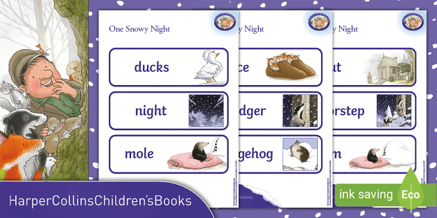 FREE! - Percy the Park keeper: One Snowy Night Word Cards