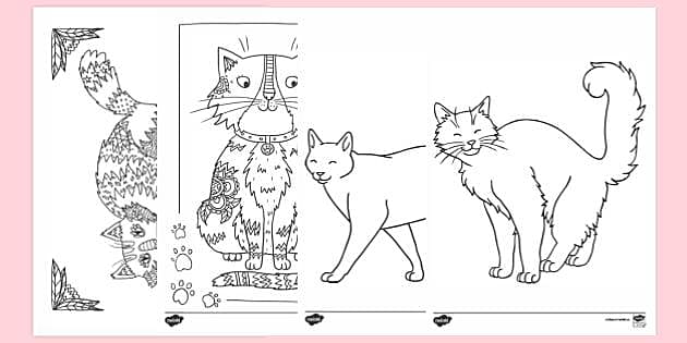 Sovereign district jeans FREE! - Desene de colorat cu pisici - România - Twinkl