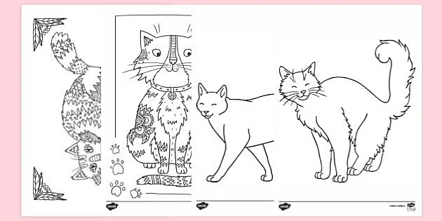 Desert Fahrenheit fan FREE! - Desene de colorat cu pisici - România - Twinkl