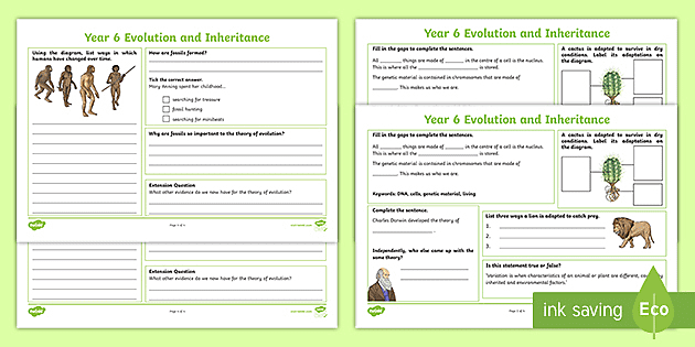 year 6 evolution and inheritance ks2 revision activity mat