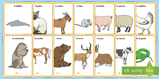 Display Posters for Animals in Italian - Primary Resource