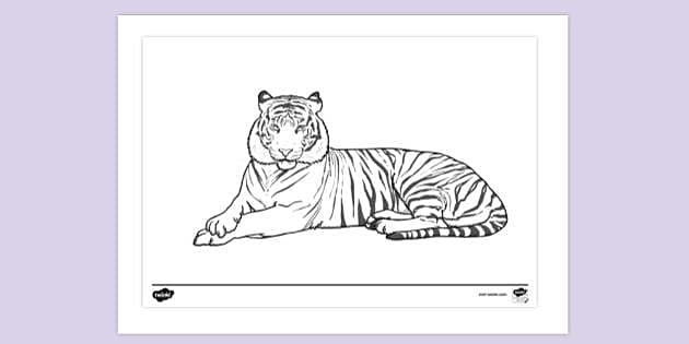 Bengal Tiger Printout