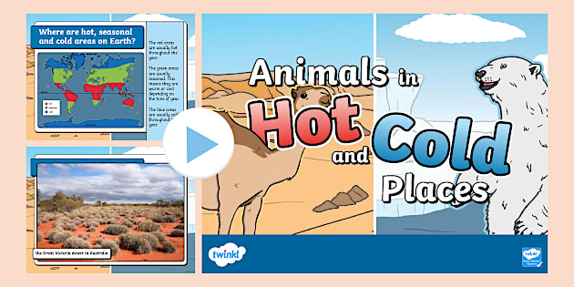 Animals in Hot and Cold Places PowerPoint - KS1 - Twinkl