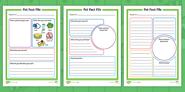 Pet Fact File Writing Frames (teacher made) - Twinkl