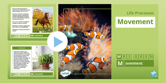 Level 3/4 Life Processes Slideshow - Movement (teacher made)
