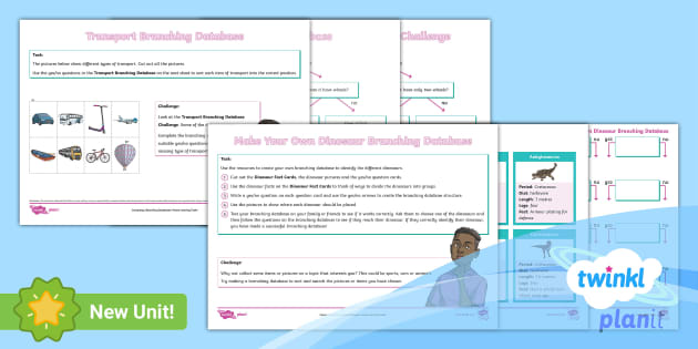 Computing: Branching Databases: Year 3 Home Learning Tasks