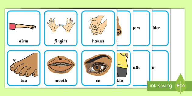 Scots Language Parts of the Body Matching Activity - Twinkl