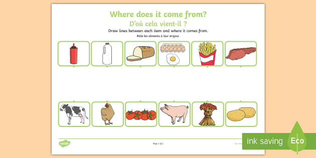 Where does. Where does food come from. Worksheet food come from. Where does come from.