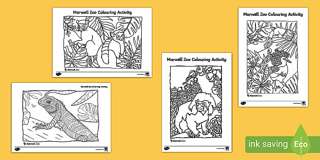 FREE! - Marwell Zoo Colouring Activity | Primary Resources | Twinkl