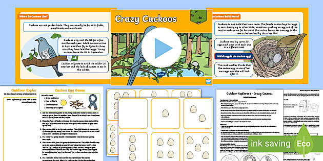 Outdoor Explorers KS1 Summer Lesson 5 Crazy Cuckoos