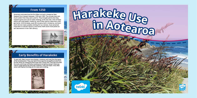 Harakeke Use in Aotearoa PowerPoint (teacher made) - Twinkl