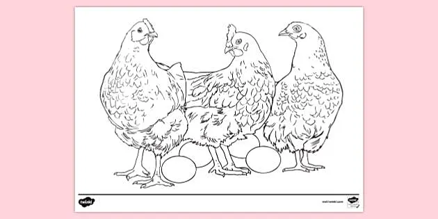 Tranh tô màu trứng gà là đã trở thành một hoạt động giải trí vô cùng phổ biến tại các trường mầm non và tiểu học. Hãy đến với chúng tôi để tìm hiểu và thử sức với bộ tranh tô màu hấp dẫn này.