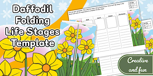 Daffodil Folding Life Stages Template
