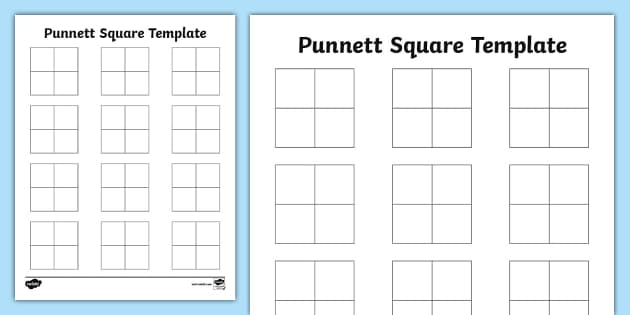 Blank Punnett Square Template (teacher made) Twinkl