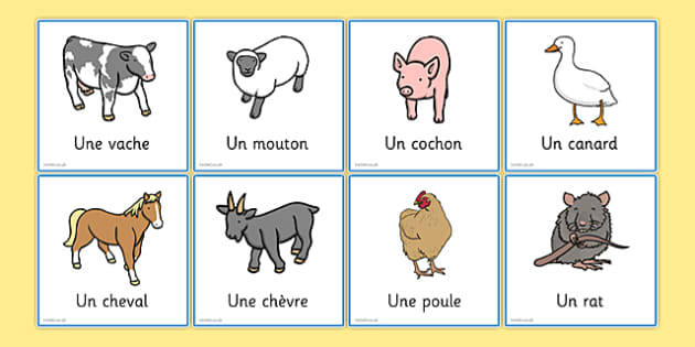 french-animal-snap-cards-primary-teaching-resources