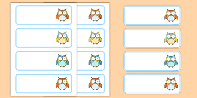 owls labels teacher made