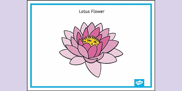 How To Draw Flowers | Lotus Flowers | Inprint | Skillshare