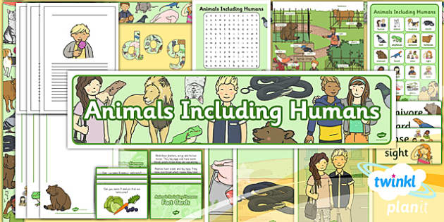 Science: Animals Including Humans Year 1 Unit Additional Resources