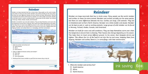Third Grade Reindeer Reading Passage Comprehension Activity