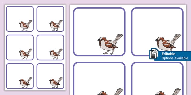 Editable Sparrow Peg Labels (Hecho por educadores) - Twinkl