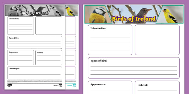 Birds Of Ireland Non-chronological Report Template - Twinkl