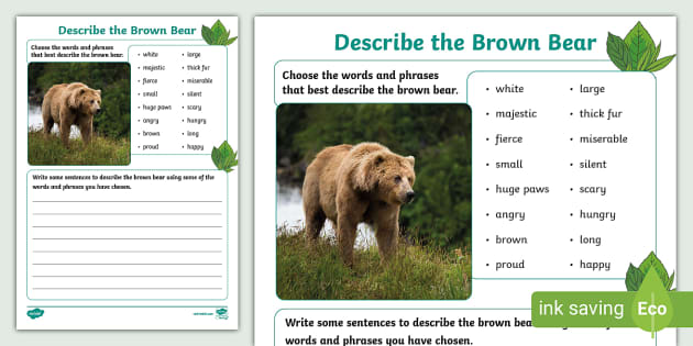 Brown bear - Definition and Examples - Biology Online Dictionary