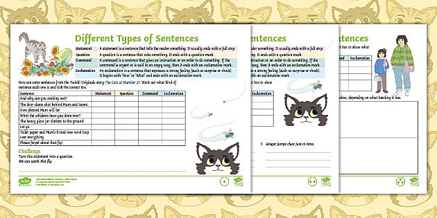  The Cats At Number 27 Year 2 Different Types Of Sentences
