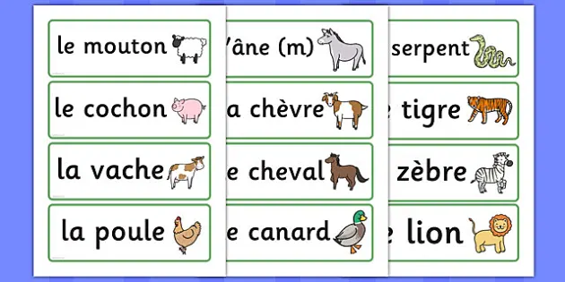 French Animal Word Cards (teacher made) - Twinkl