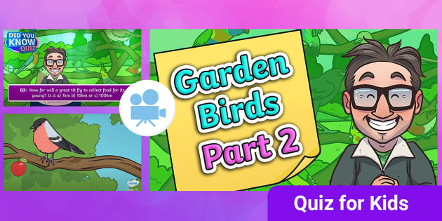 More British Birds Facts Quiz for Kids | Quizzes | Parents