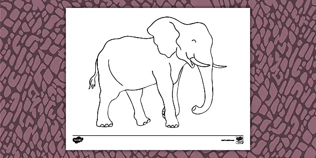 Coloring page Stylized elephant with simple geometric patterns - Free  drawing