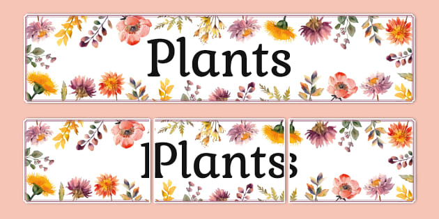 Wildflower Botanical Themed Plants Display Banner - Twinkl