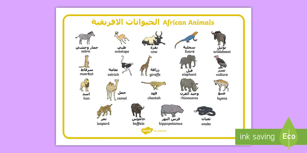 African Animals Word Mat Arabic/English - African Animals Word Mat