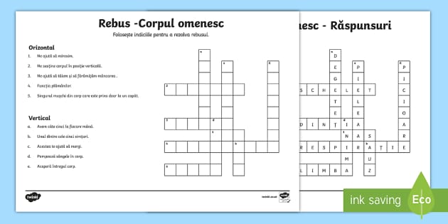 Corpul Omenesc Rebus Teacher Made