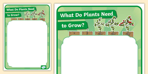 What Do Plants Need To Grow Display Poster Twinkl