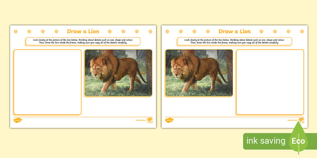 Draw a Lion Art Activity,lion (teacher made) - Twinkl